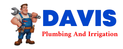 Trusted plumber in ALPINE